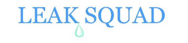 LEAK SQUAD