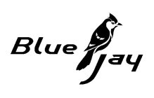 BLUE JAY