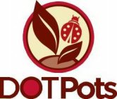 DOTPOTS