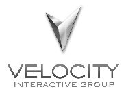 V VELOCITY INTERACTIVE GROUP