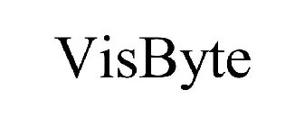 VISBYTE