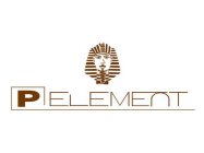 P ELEMENT