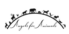 ANGELS FOR ANIMALS