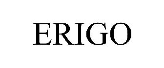 ERIGO