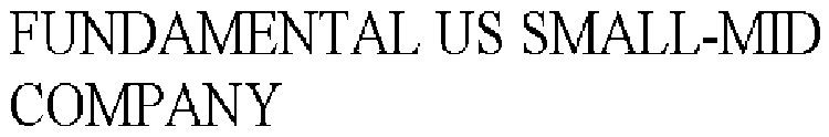 FUNDAMENTAL US SMALL-MID COMPANY