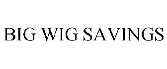 BIG WIG SAVINGS