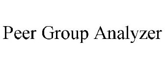 PEER GROUP ANALYZER