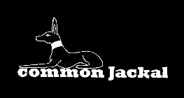 COMMON JACKAL