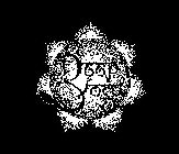 DEEP YOGA