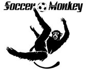 SOCCER MONKEY