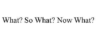 WHAT? SO WHAT? NOW WHAT?