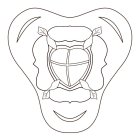 Image Trademark