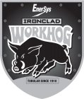 ENERSYS IRONCLAD WORKHOG TUBULAR SINCE 1910