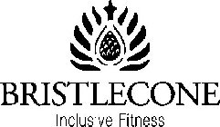 BRISTLECONE INCLUSIVE FITNESS