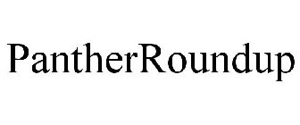 PANTHERROUNDUP