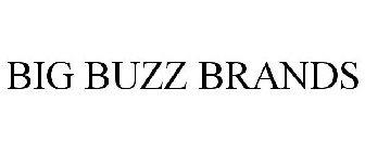 BIG BUZZ BRANDS