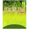 ERILIM EXPORT