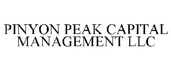 PINYON PEAK CAPITAL MANAGEMENT LLC