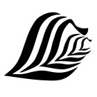 LICLLC