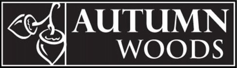 AUTUMN WOODS