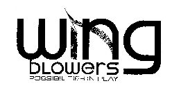 WING BLOWERS POSSIBILITIES IN PLAY