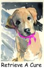 RETRIEVE A CURE