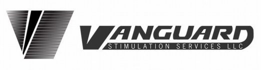 V VANGUARD STIMULATION SERVICES LLC