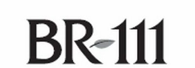 BR 111