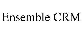 ENSEMBLE CRM