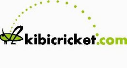 KIBICRICKET.COM