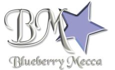 BM BLUEBERRY MECCA