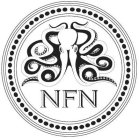 NFN