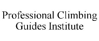 PROFESSIONAL CLIMBING GUIDES INSTITUTE