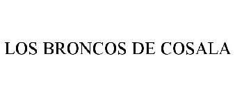 LOS BRONCOS DE COSALA