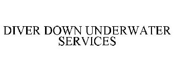 DIVER DOWN UNDERWATER SERVICES