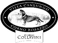 · VILLA CANLUNGO · CORNO ROSAZZO EUGENIO COLLAVINI