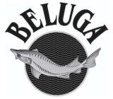 BELUGA