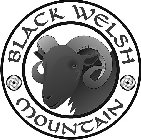 BLACK WELSH MOUNTAIN