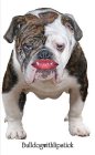 BULLDOGWITHLIPSTICK