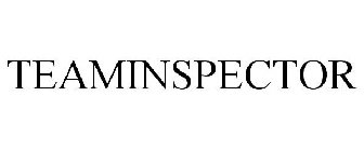 TEAMINSPECTOR