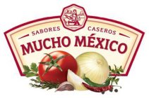 SABORES CASEROS MUCHO MÉXICO