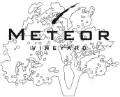 METEOR VINEYARD