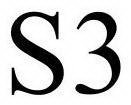 S3