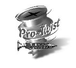 PRO-TWIST DARTS