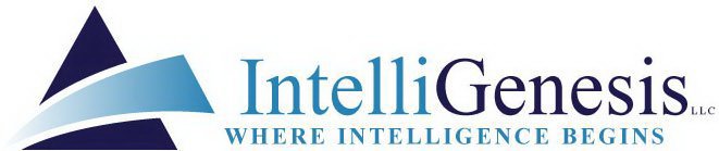 INTELLIGENESIS LLC WHERE INTELLIGENCE BEGINS