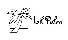 LIL PALM