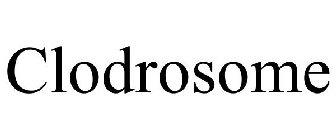 CLODROSOME