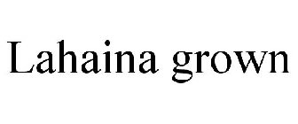 LAHAINA GROWN