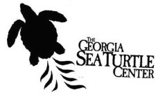 THE GEORGIA SEA TURTLE CENTER