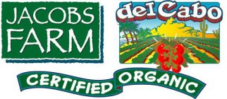 JACOBS FARM DEL CABO CERTIFIED ORGANIC